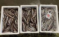 写真, 座る, 古い, いっぱい が含まれている画像
AI 生成コンテンツは誤りを含む可能性があります。